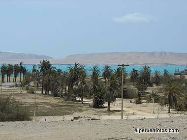 paracas 010